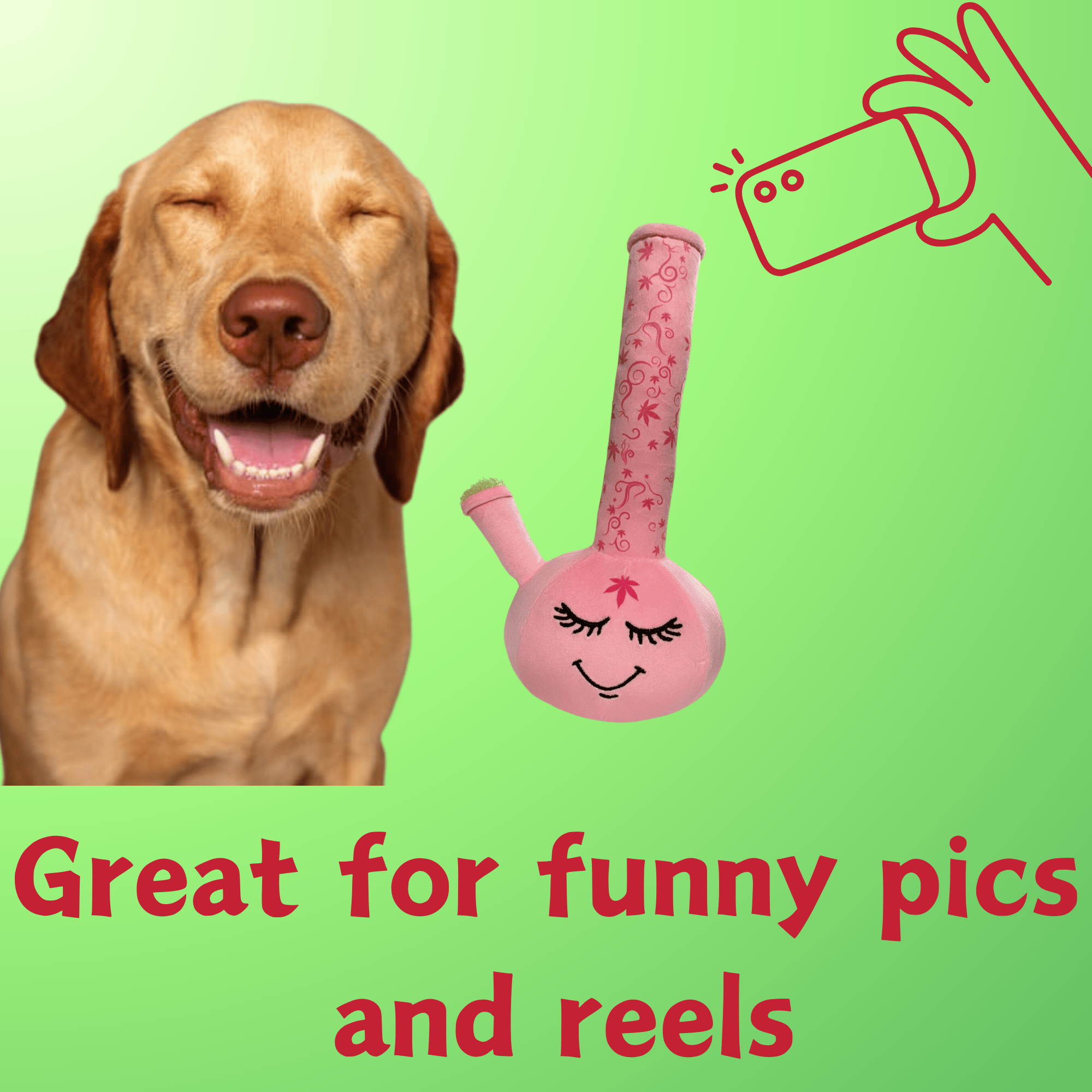 My Name is Harmony Bong, Funny Squeaky Weed Dog Toy, Cute Stuffed Parody Pot Bong, Cool Plush 420 Novelty Gift for Pets, Sized for Puppies & Small, Medium & Large Breeds, Fetch & a Photo Prop - Image 3