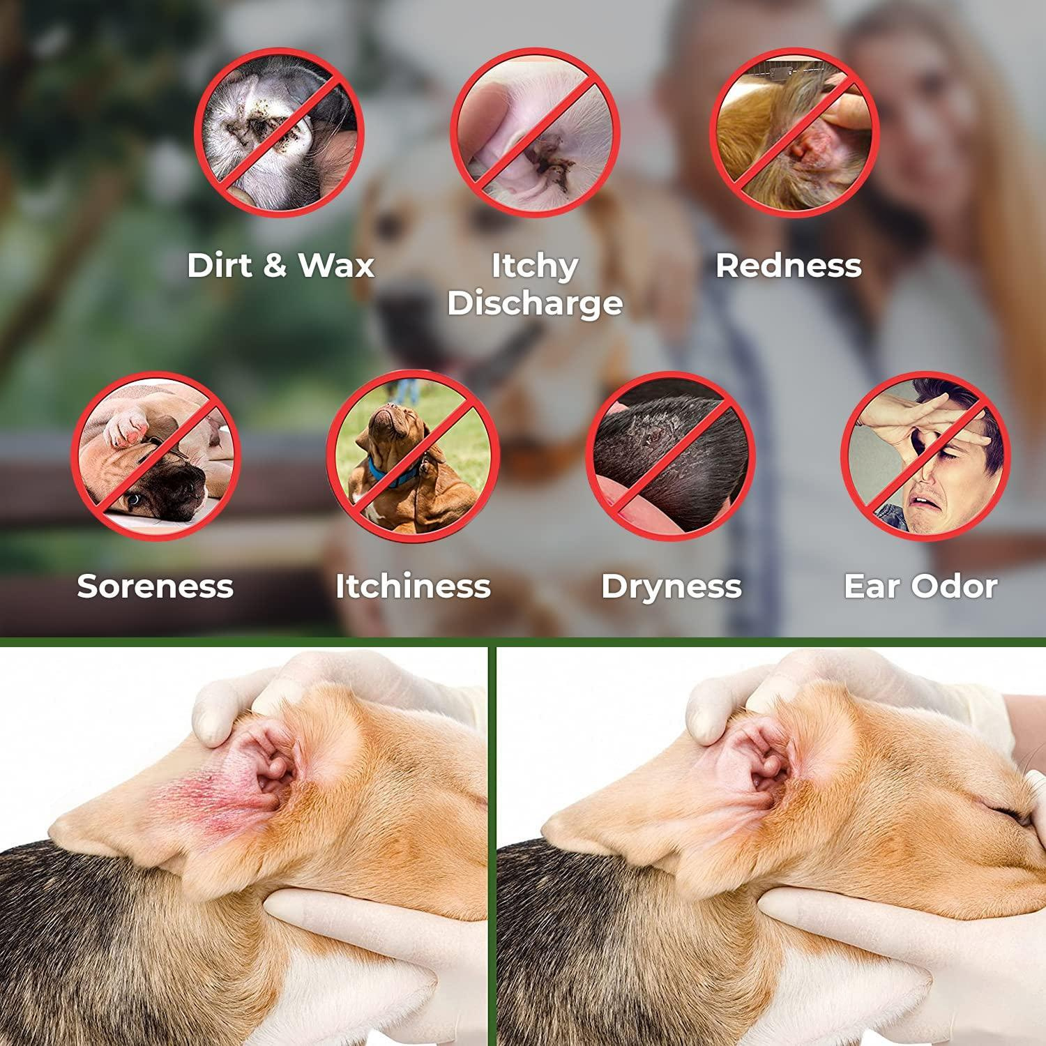 Ear Cleaner Wipes for Dogs Cats Puppies Kittens 100 Count Natural Medicated Cleansing Deodorizer Removes Dirt Wax - Image 5