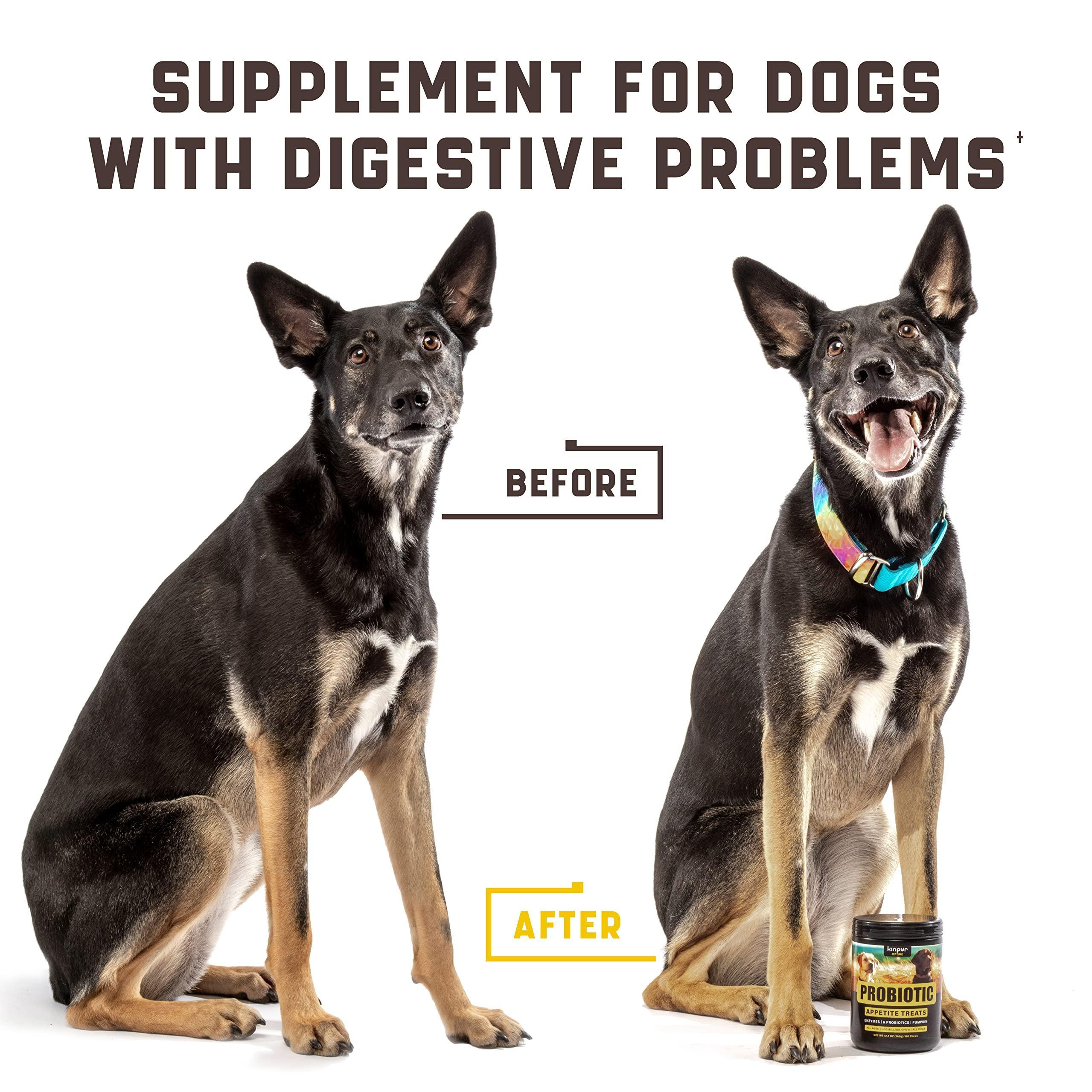 Probiotics for Dogs Support Gut Health Itchy Skin Allergies Yeast Balance Immunity Dog Probiotics and Digestive Enzymes for Small Medium and Large Dogs 180 Probiotic Chews for Dogs Duck Flavor - Image 5