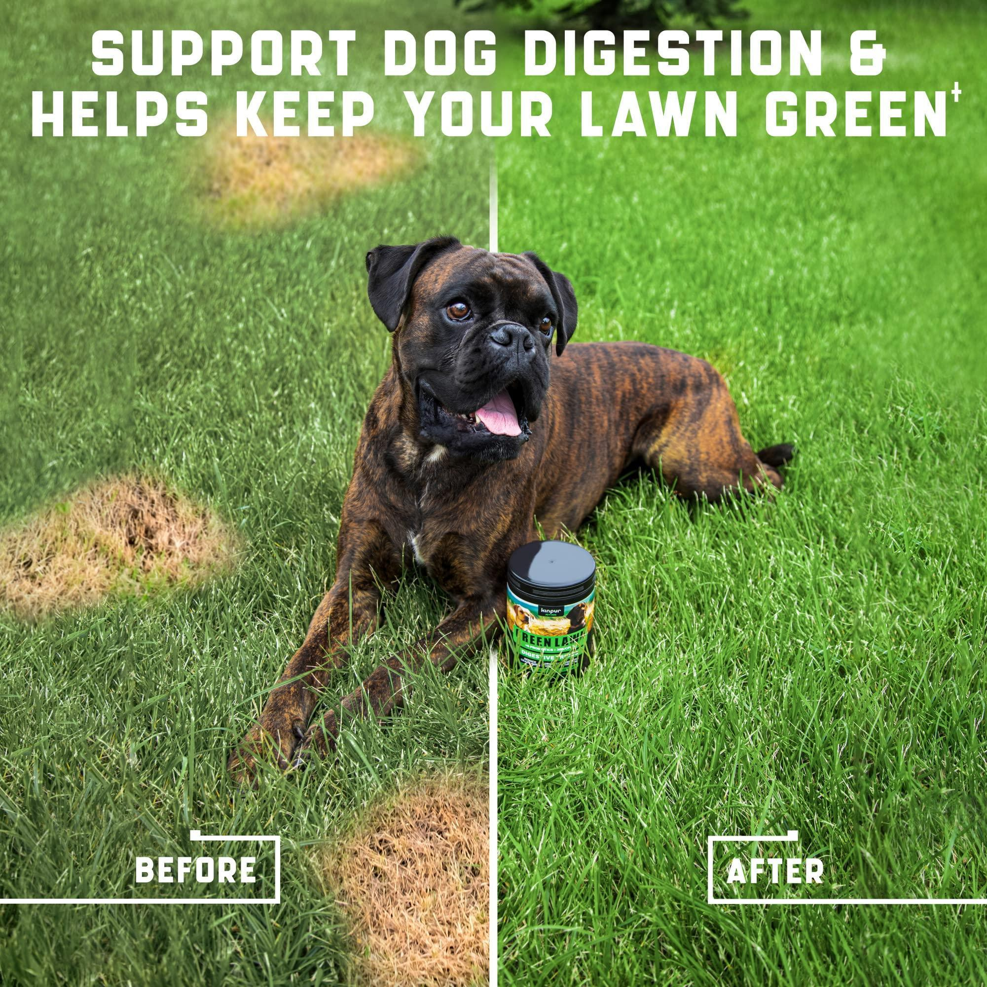 Green Lawn Chews for Dogs Cranberry ACV Digestive Enzymes Natural Dog Urine Neutralizer for Lawn Supports Healthy Bladder Urinary Tract 180 Tasty Dog Treats for Yellow Burn Grass Spots - Image 2