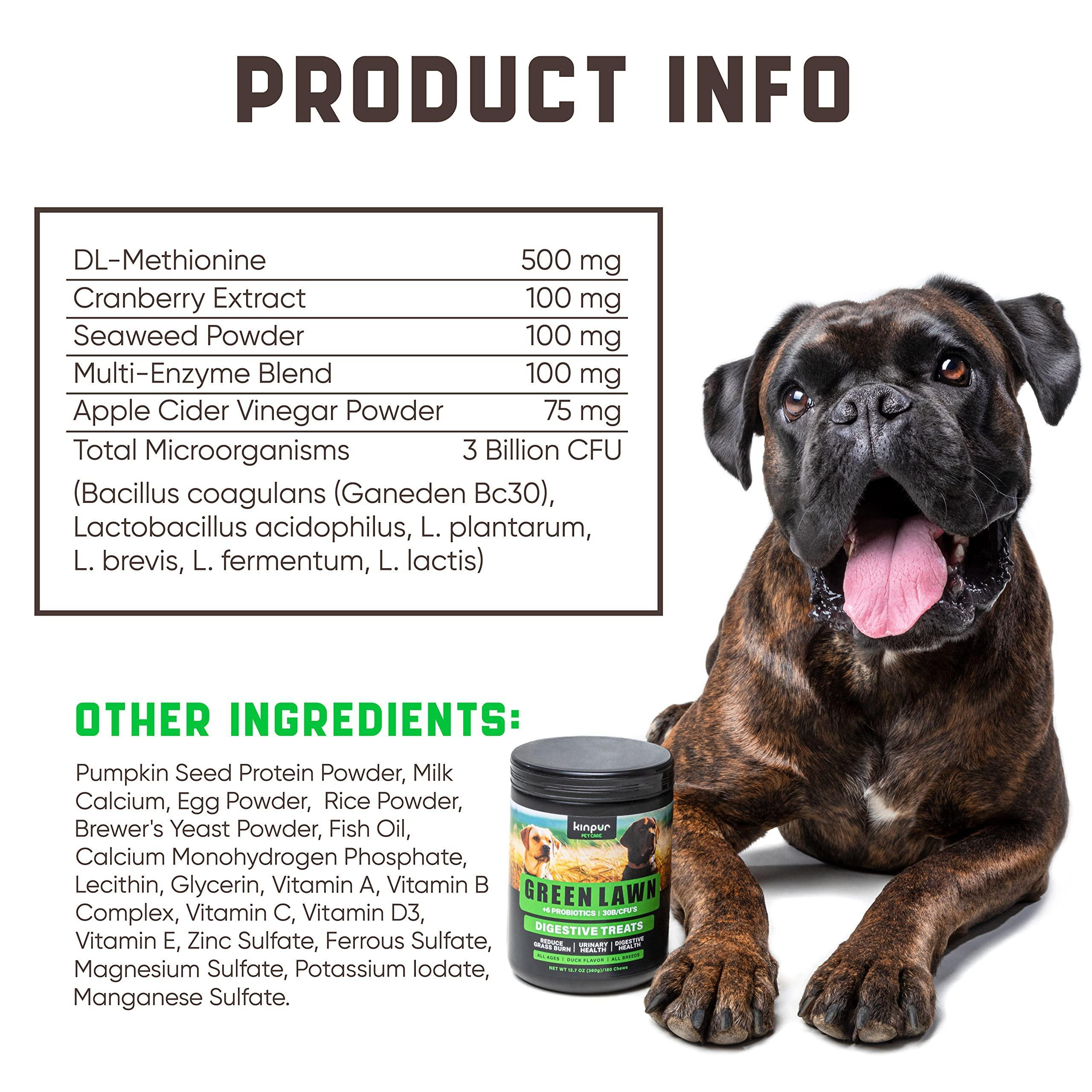 Green Lawn Chews for Dogs Cranberry ACV Digestive Enzymes Natural Dog Urine Neutralizer for Lawn Supports Healthy Bladder Urinary Tract 180 Tasty Dog Treats for Yellow Burn Grass Spots - Image 3