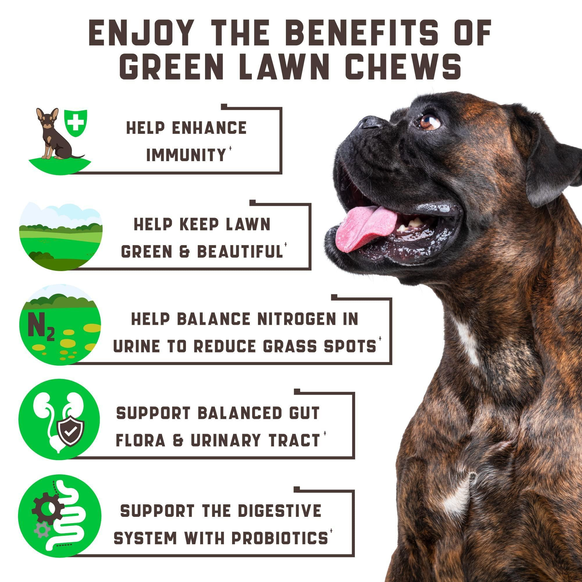 Green Lawn Chews for Dogs Cranberry ACV Digestive Enzymes Natural Dog Urine Neutralizer for Lawn Supports Healthy Bladder Urinary Tract 180 Tasty Dog Treats for Yellow Burn Grass Spots - Image 4