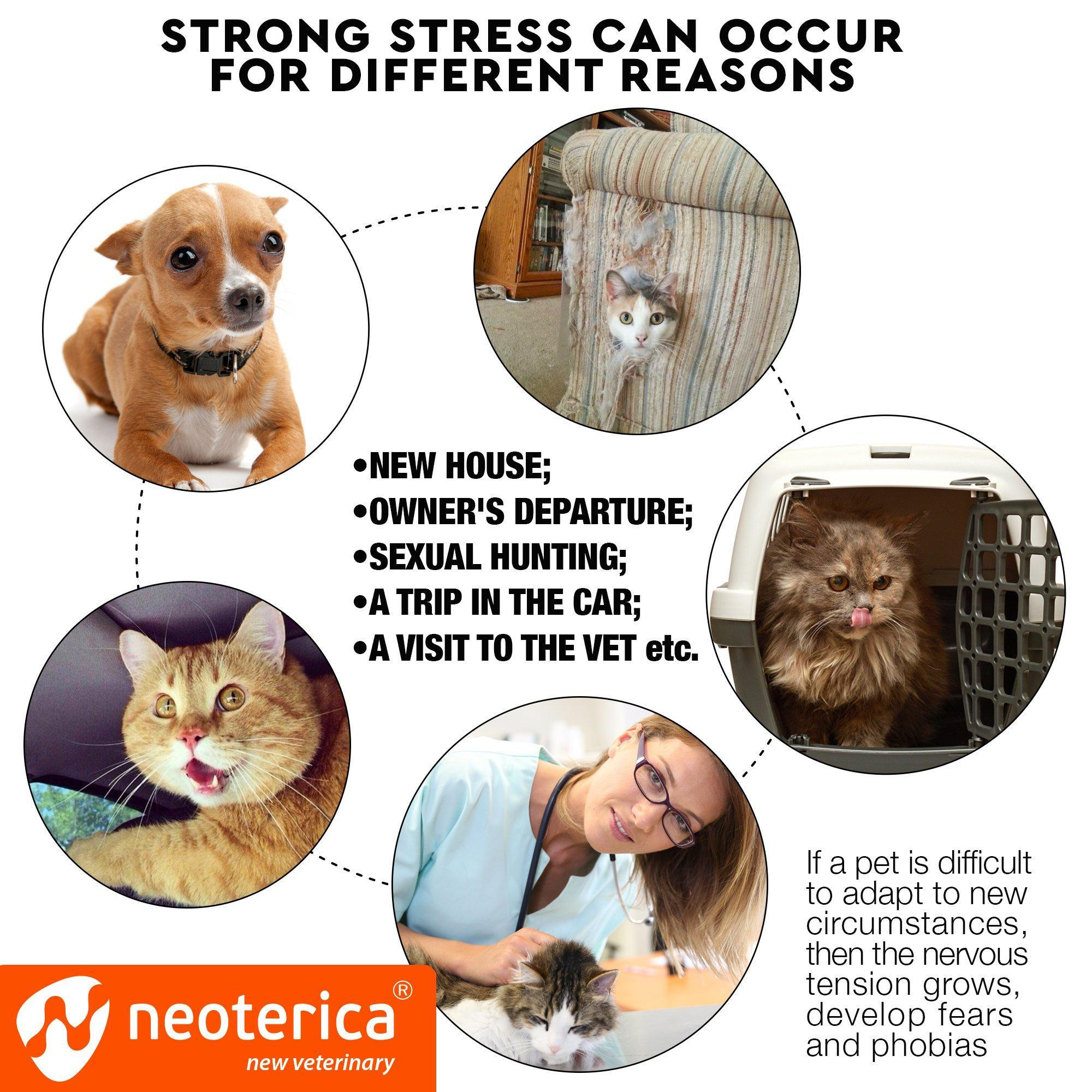 Cat Calming Collar Pet Anti Anxiety Products Feline Calm Pheromones Collars Cats Stress Relief Comfort Helps with Pee New Zone Aggression Fighting with Dogs - Image 2