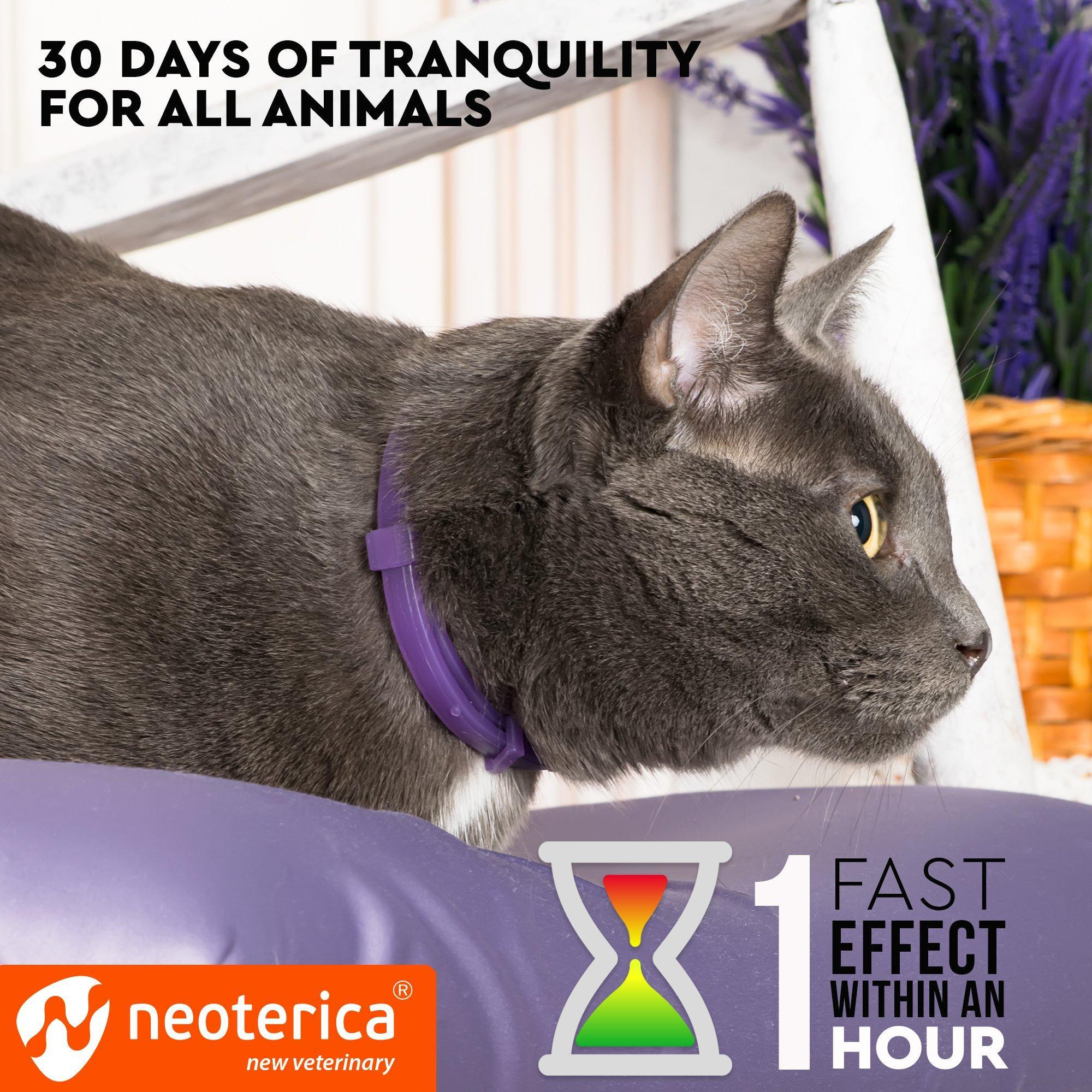 Cat Calming Collar Pet Anti Anxiety Products Feline Calm Pheromones Collars Cats Stress Relief Comfort Helps with Pee New Zone Aggression Fighting with Dogs - Image 3