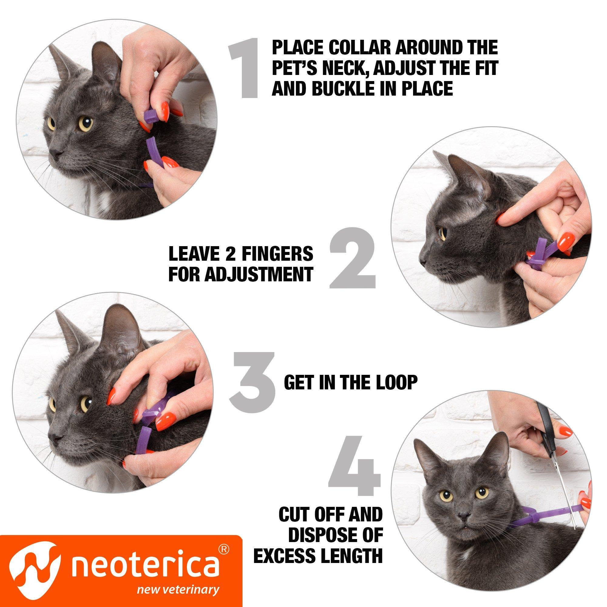 Cat Calming Collar Pet Anti Anxiety Products Feline Calm Pheromones Collars Cats Stress Relief Comfort Helps with Pee New Zone Aggression Fighting with Dogs - Image 4