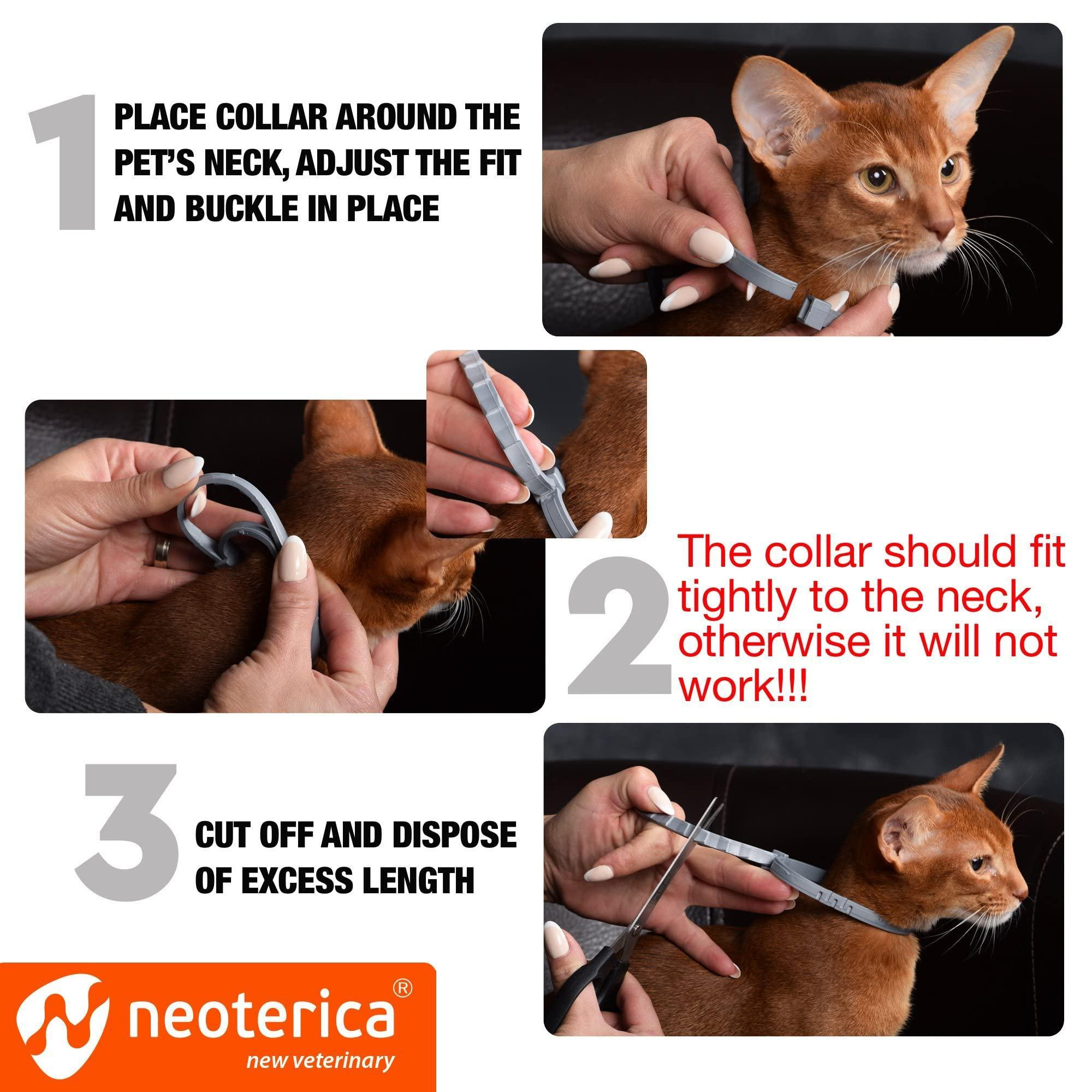Natural Flea Tick Collar for Cats 12 Months Control of Best Prevention Safe Treatment Anti Fleas and Ticks Essential Oil Repellent 1 Count - Image 3