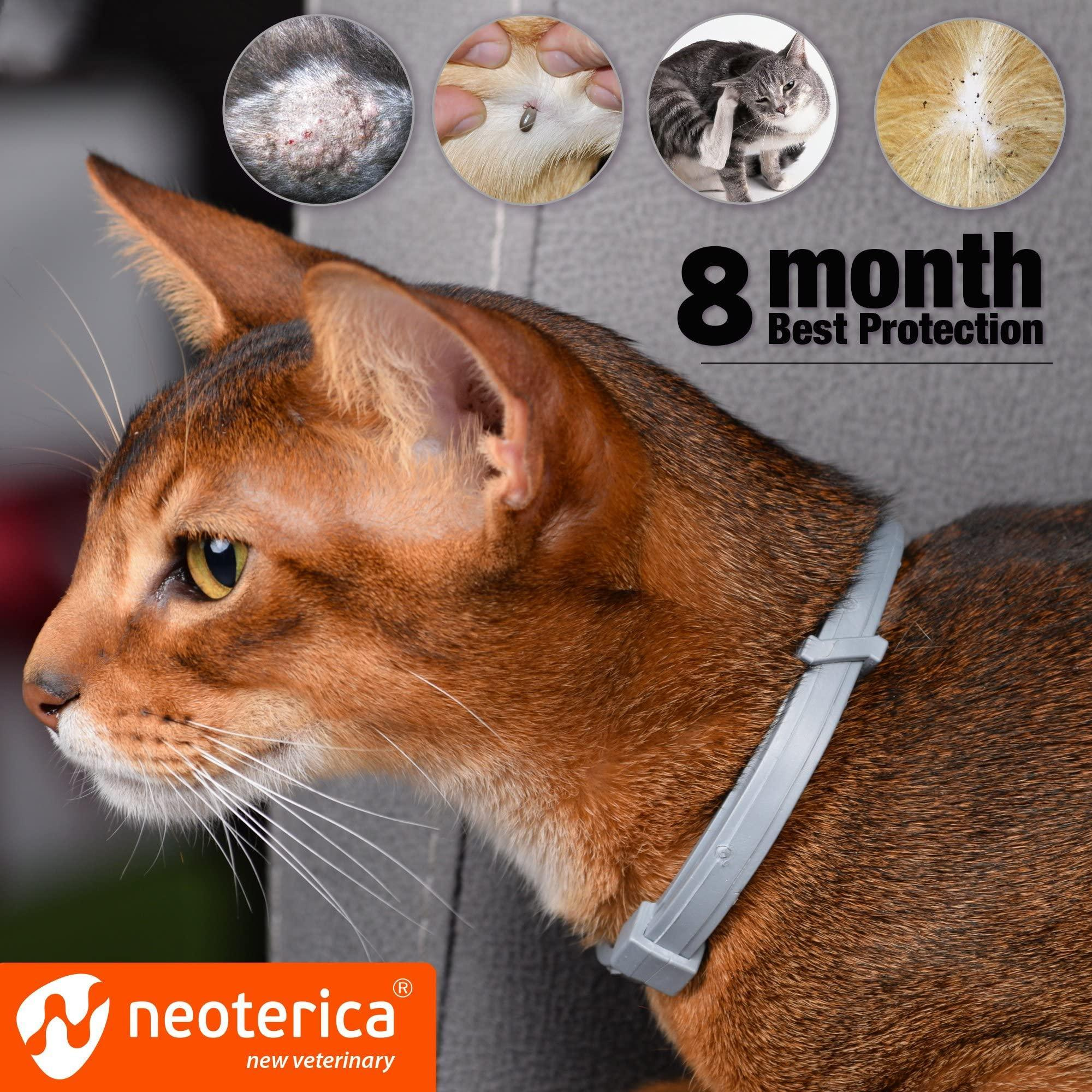 Natural Flea Tick Collar for Cats 12 Months Control of Best Prevention Safe Treatment Anti Fleas and Ticks Essential Oil Repellent 1 Count - Image 4