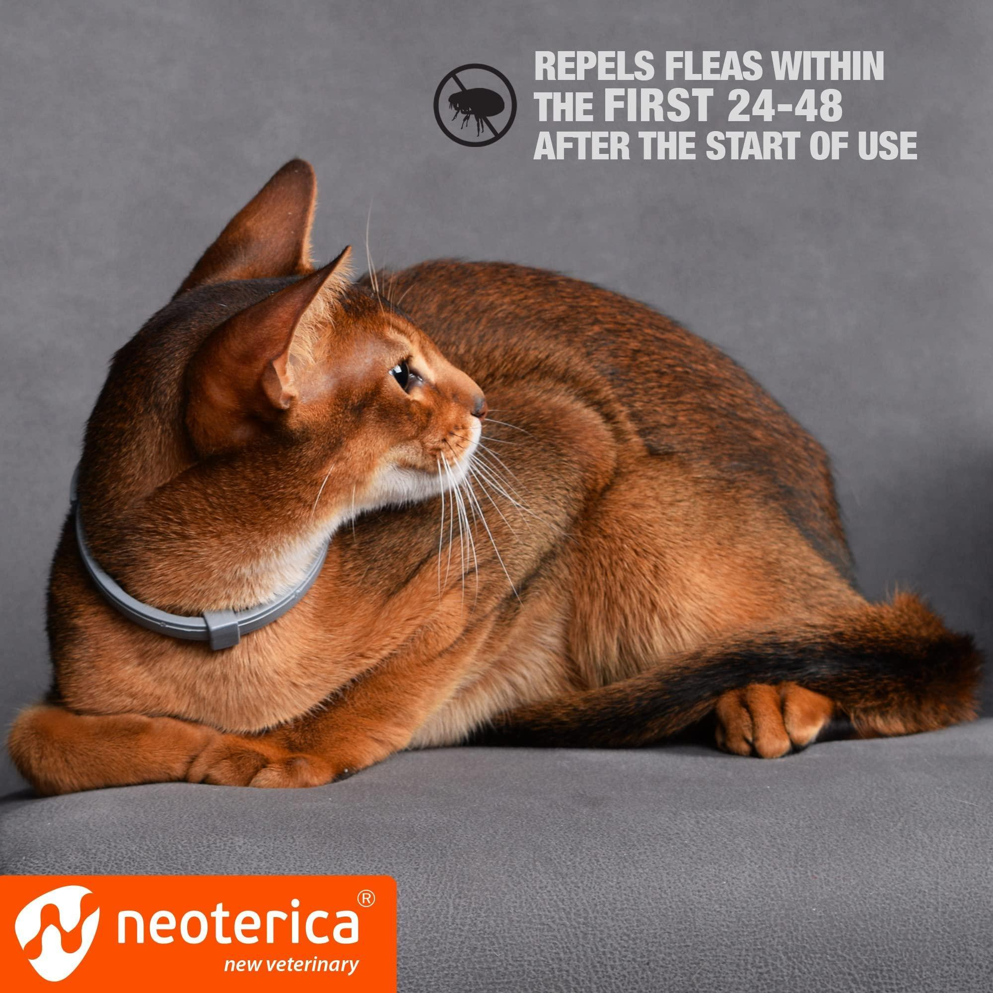 Natural Flea Tick Collar for Cats 12 Months Control of Best Prevention Safe Treatment Anti Fleas and Ticks Essential Oil Repellent 1 Count - Image 5