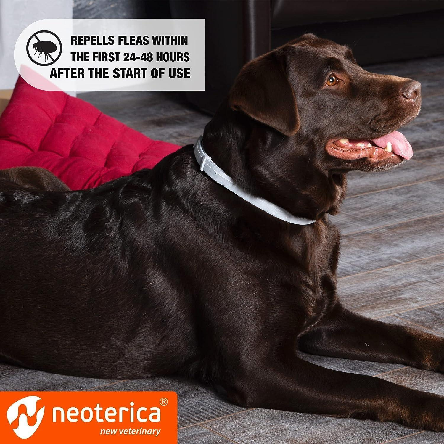 Natural Flea Tick Collar for Dogs 6 Months Control of Best Prevention Safe Treatment Anti Fleas and Ticks Essential Oil Repellent 1 Pack 2 Count - Image 3