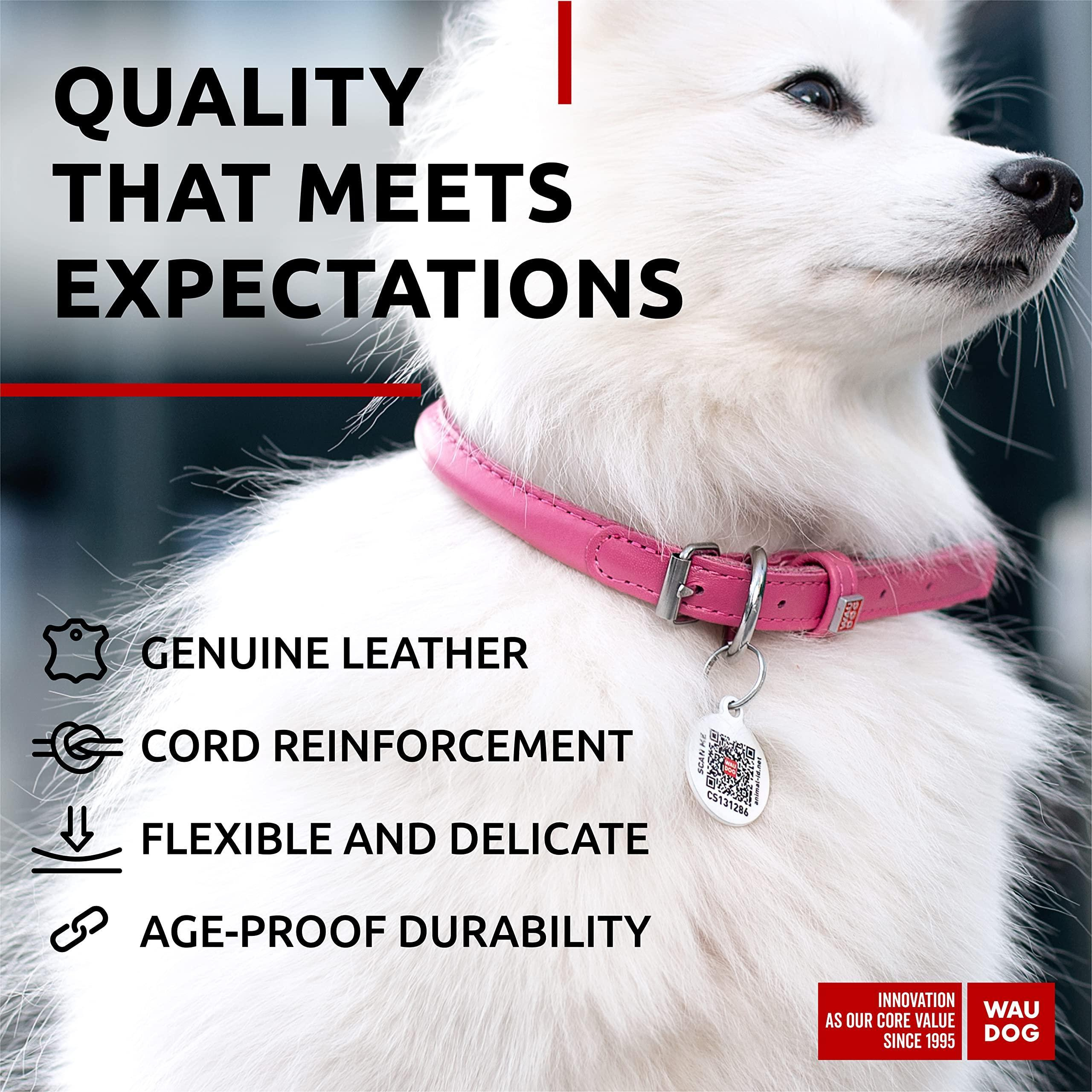 Ultra Soft Rolled Leather Dog Collar for Small Dogs Soft Padded Male and Female Dog Collar 10-13 inch Neck Pink Collar - Image 2