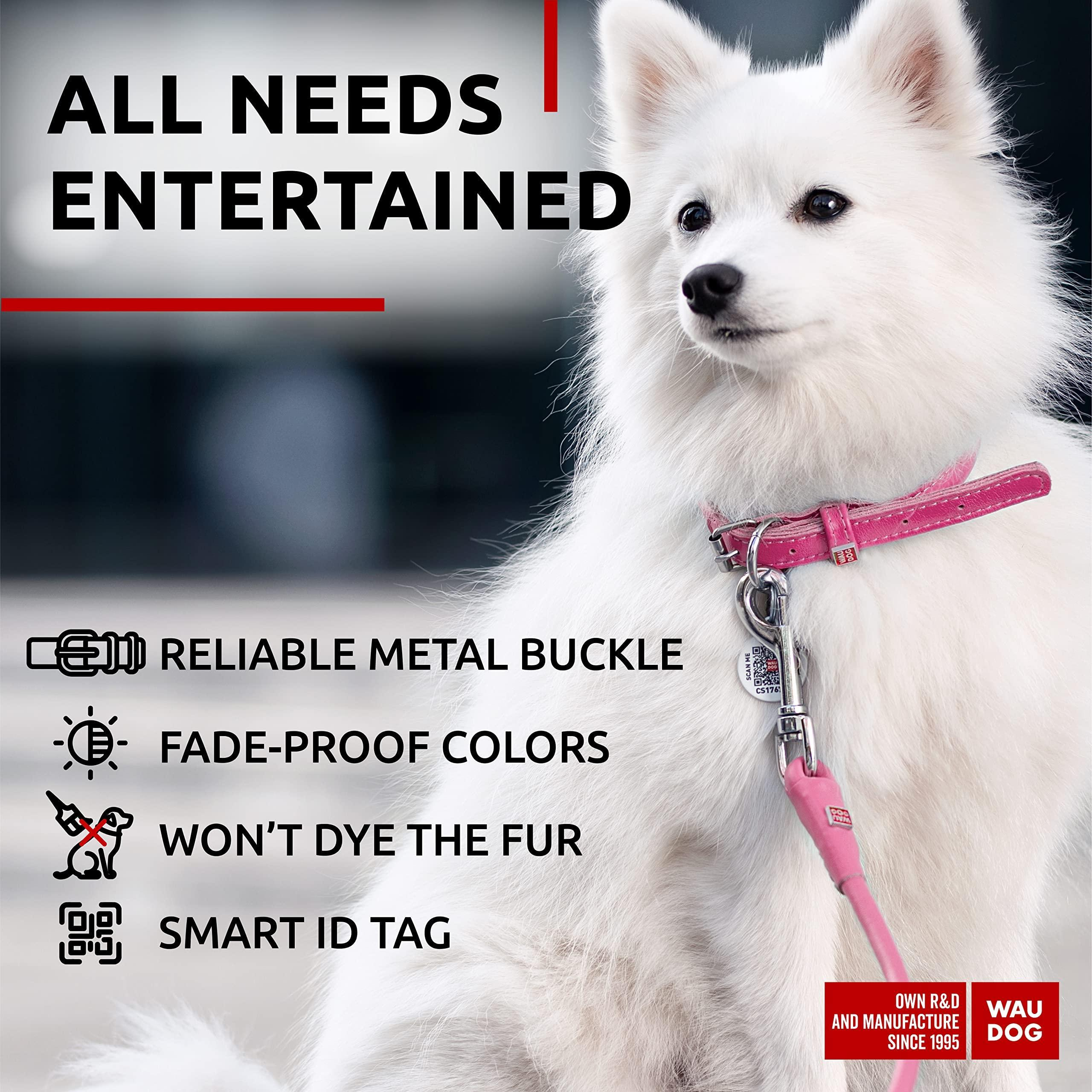 Ultra Soft Rolled Leather Dog Collar for Small Dogs Soft Padded Male and Female Dog Collar 10-13 inch Neck Pink Collar - Image 3