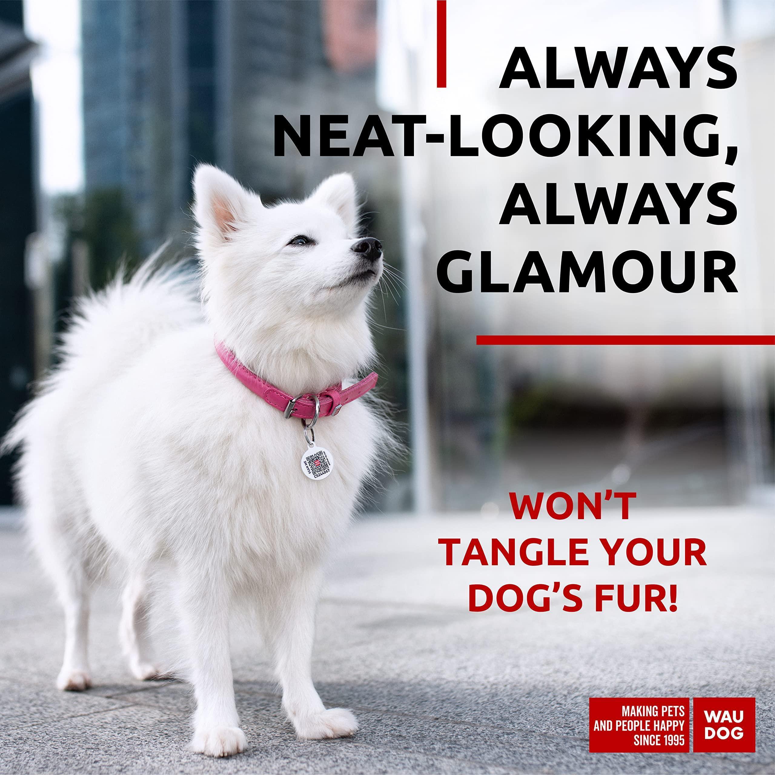 Ultra Soft Rolled Leather Dog Collar for Small Dogs Soft Padded Male and Female Dog Collar 10-13 inch Neck Pink Collar - Image 6