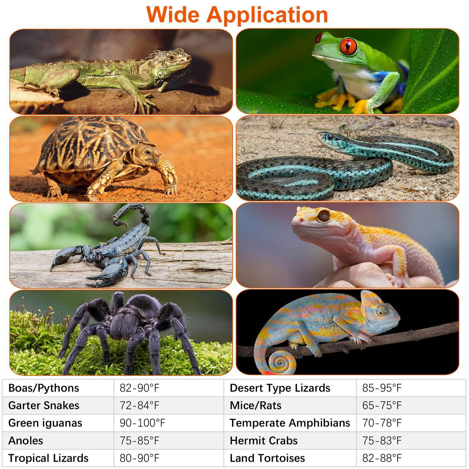 Electric Reptile Heating Pad With Temperature Adjustment IPX7 Waterproof Timer Setting Under Tank Heating Mat for Lizards Turtles Snake Spider Small Animal - Image 6