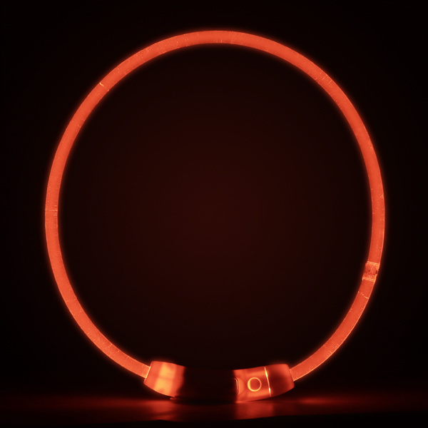 Pet luminous collar - Image 2