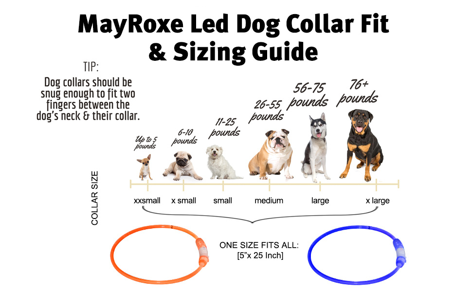 Pet luminous collar - Image 8