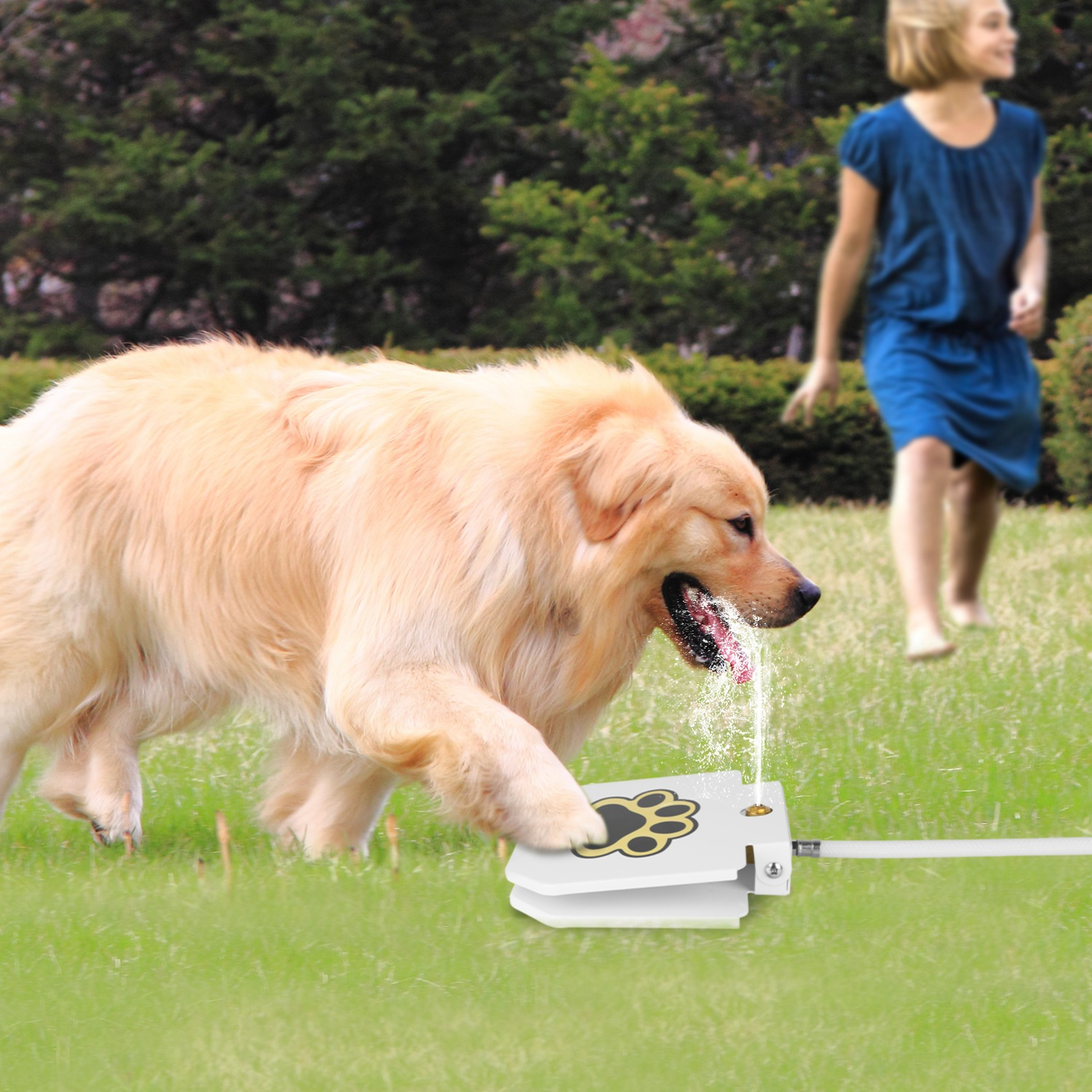 Dog Water Fountain Outdoor Dog Pet Water Dispenser Step-on Activated Sprinkler - Image 9
