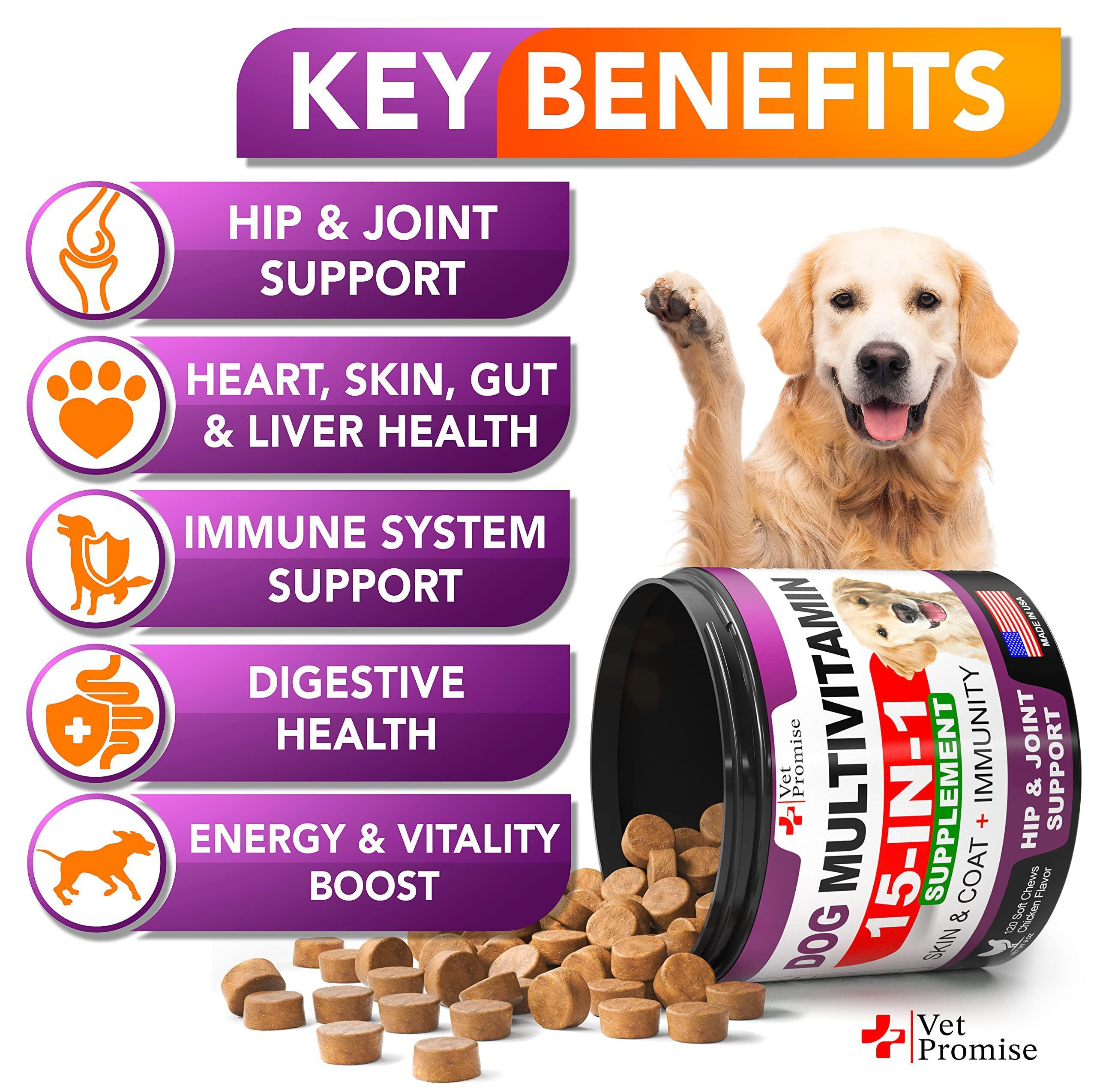 Dog Multivitamin Chewable with Glucosamine Dog Vitamins and Supplements Senior & Puppy Multivitamin for Dogs Pet Joint Support Health Immunity Mobility Energy Gut Skin 120 Chews - Image 2