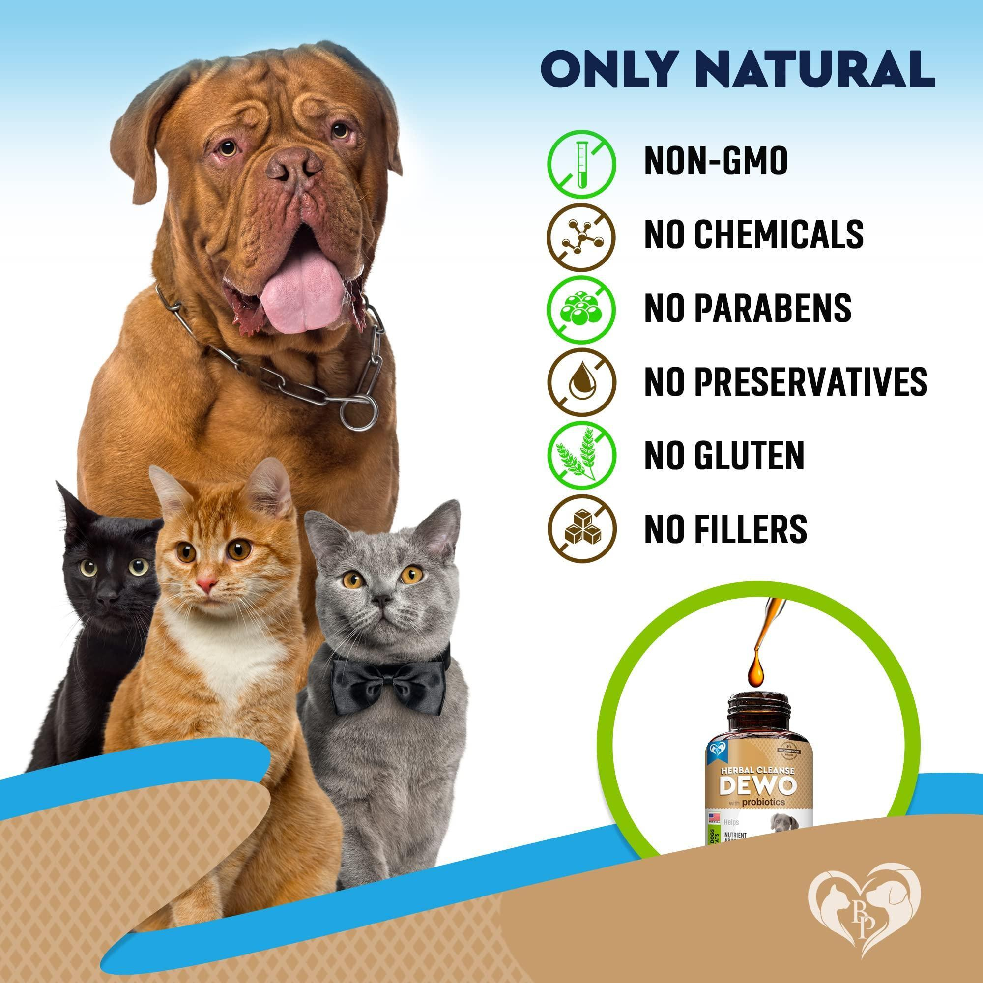 Cats and Dogs Natural Worm Treatment with Probiotic Liquid Herbal Medicine Prevention Medication Supplement Drops for Kitten and Puppies for Daily Use with Pet Food - Image 6