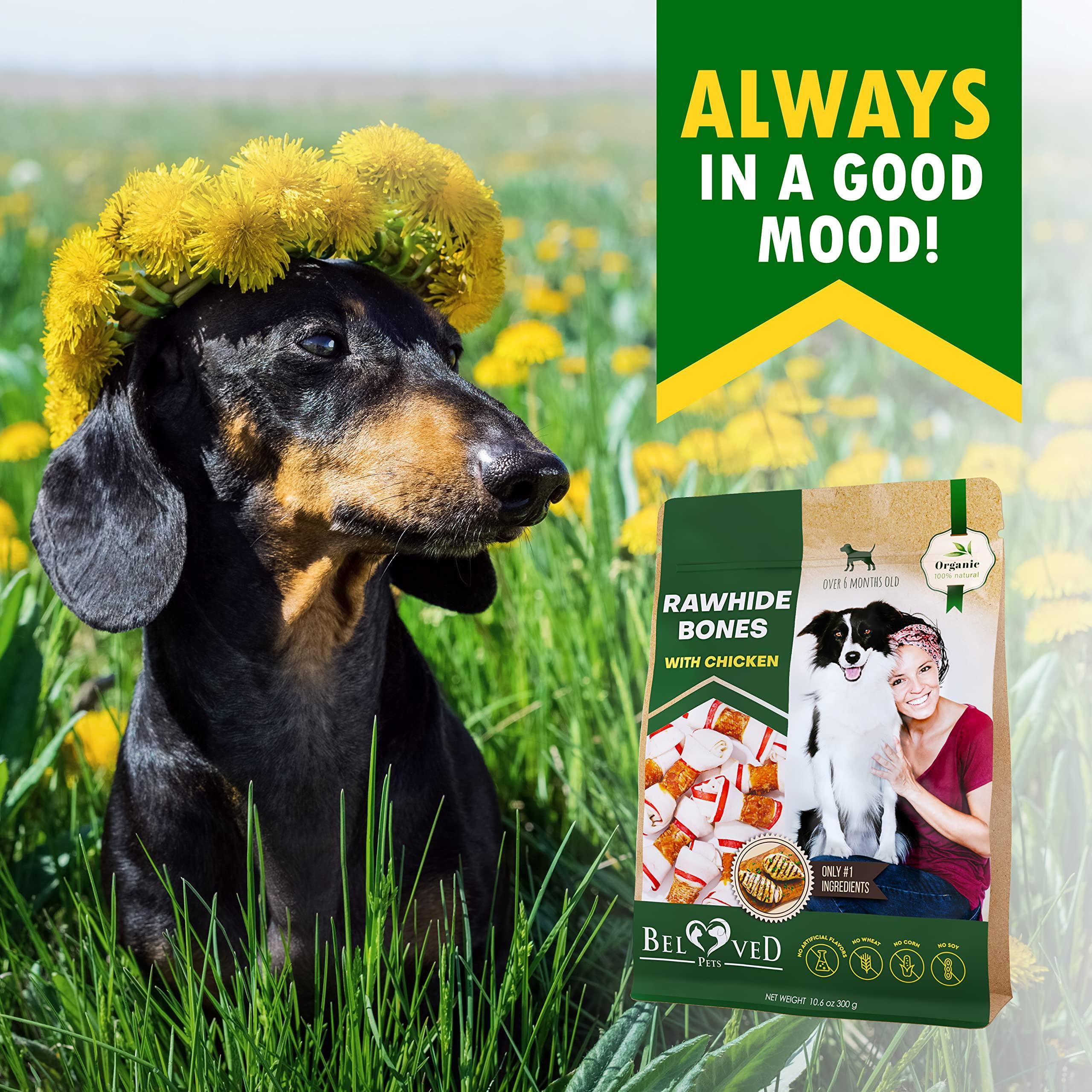 Dog Rawhide Sticks Wrapped with Chicken and Pet Natural Chew Treats Grain Free Organic Meat Human Grade Dried Snacks in Bulk Bones - Image 7