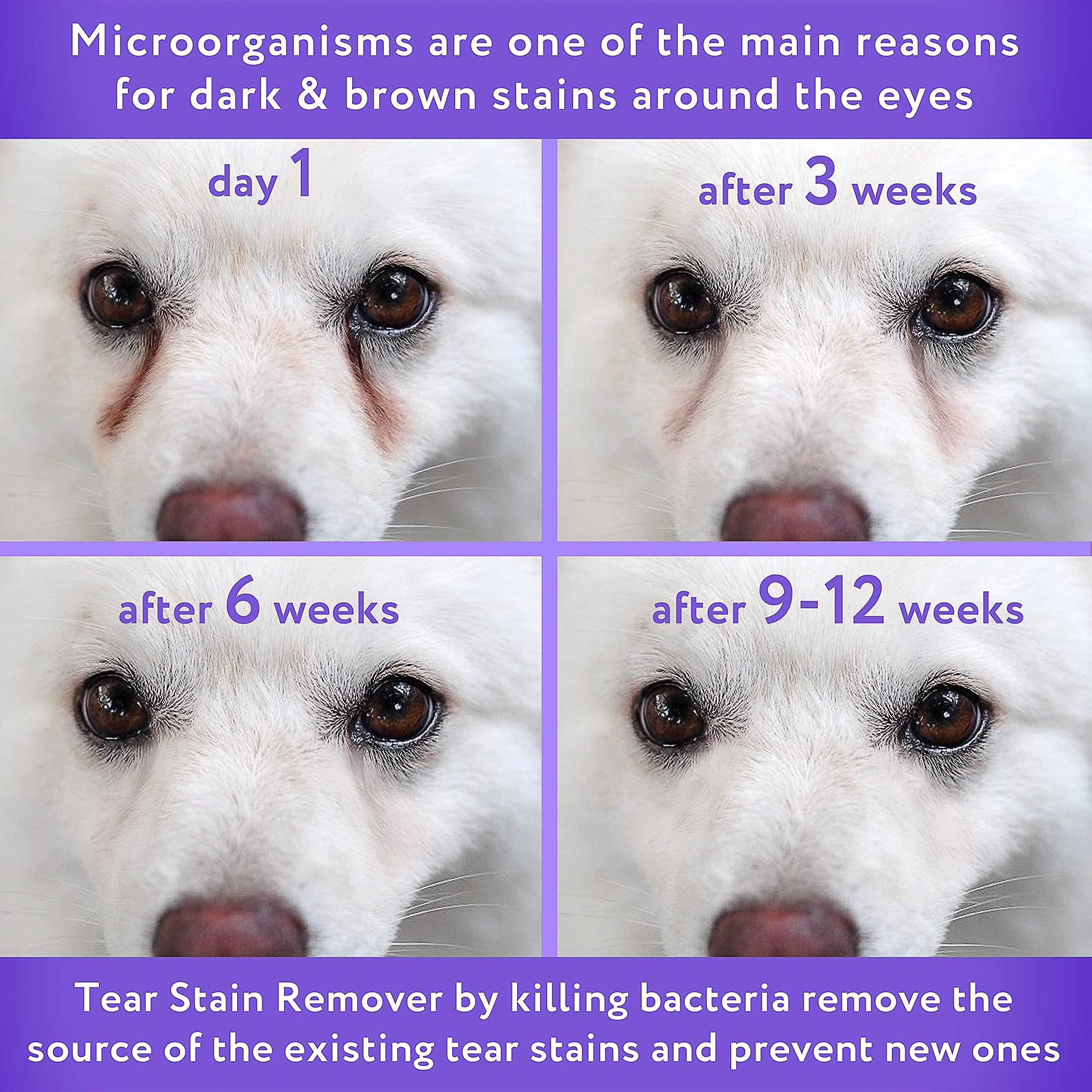 Tear Stain Remover Eye Stain Cleaner for Dogs and Cats Natural Ingredients 26 Dead Sea Minerals - Image 2