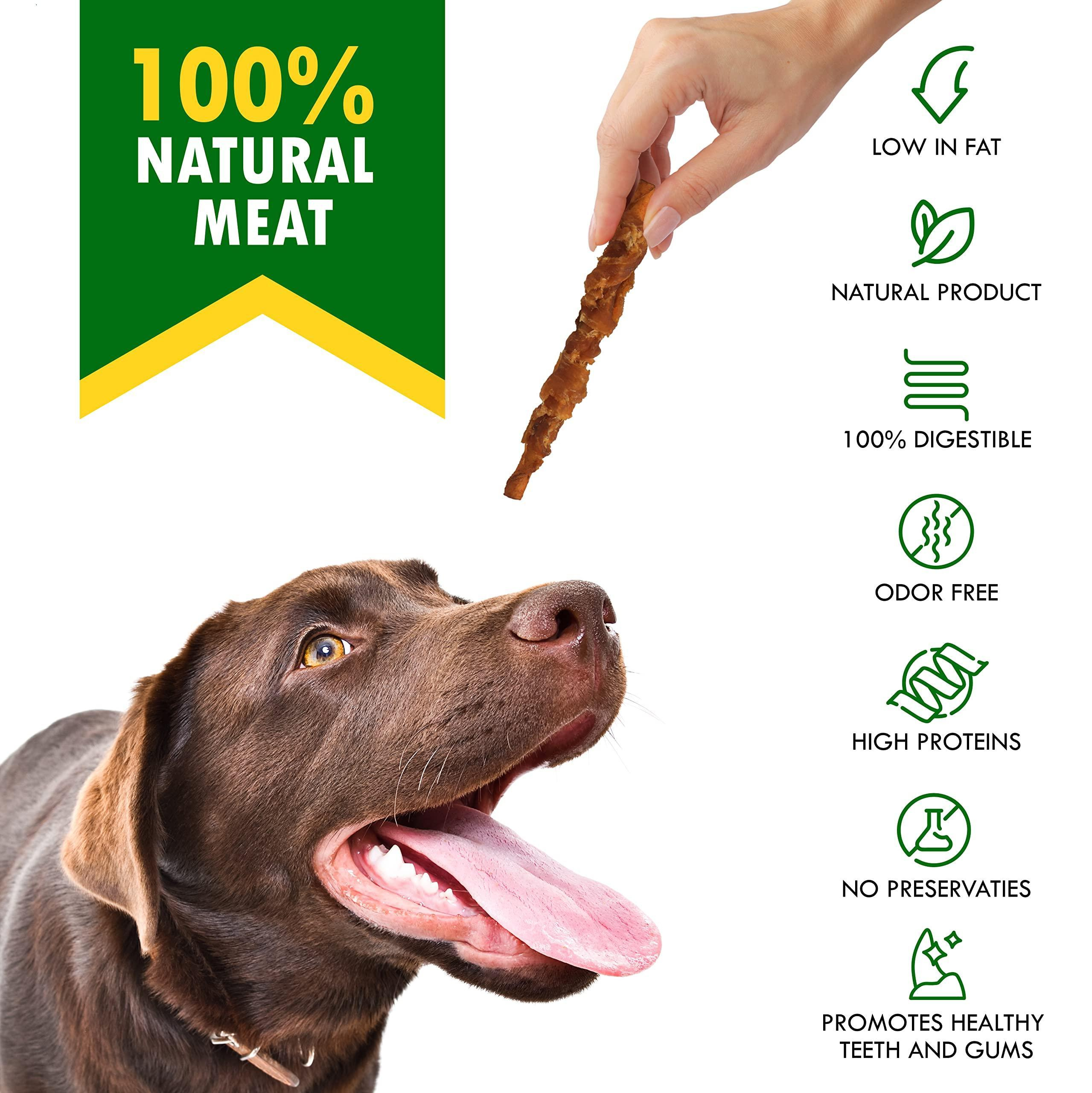 Dog Smoked Rawhide Sticks Wrapped Chicken Pet Natural Chew Treats Grain Free Organic Meat Healthy Human Grade Dried Snacks in Bulk - Image 2