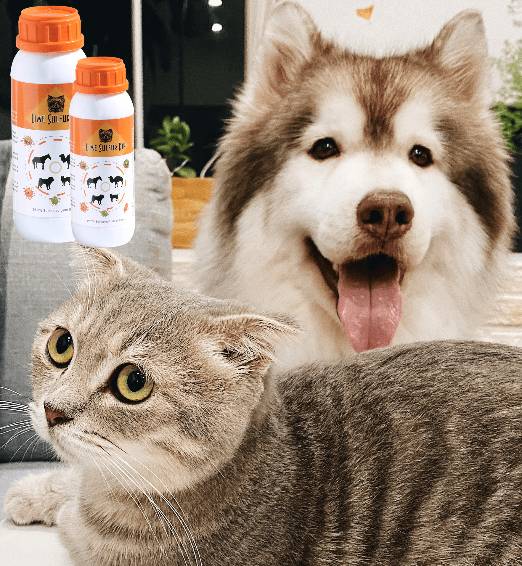 Lime Sulfur Dip - Image 9